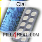 Cial 34